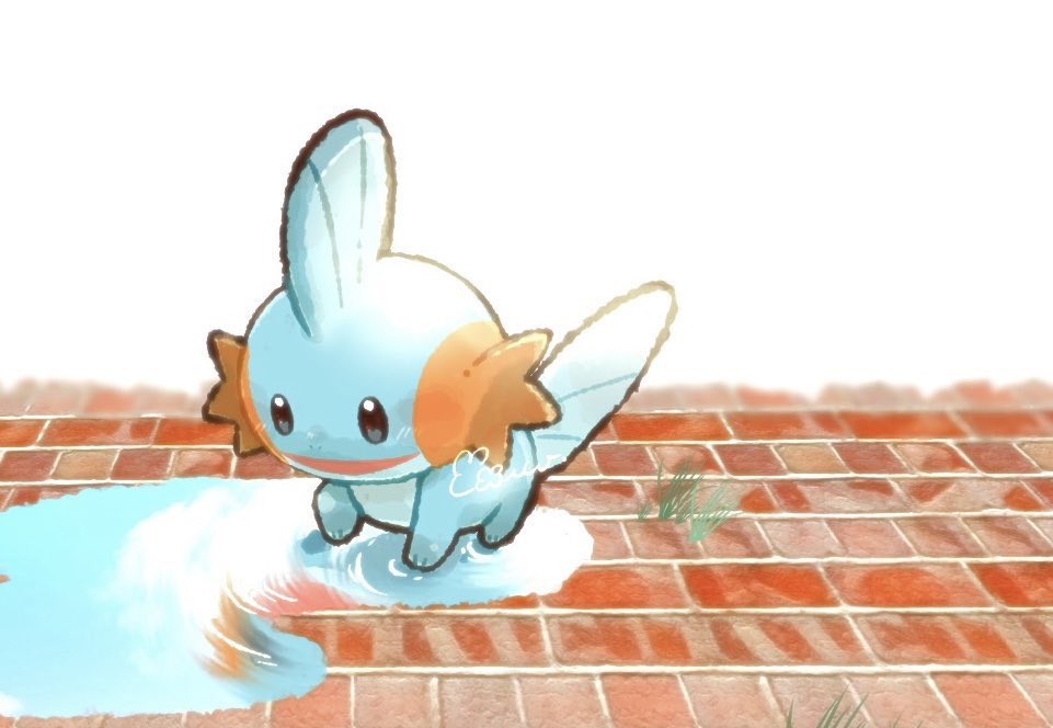 ミズゴロウの夏休み🛟
#pokemon