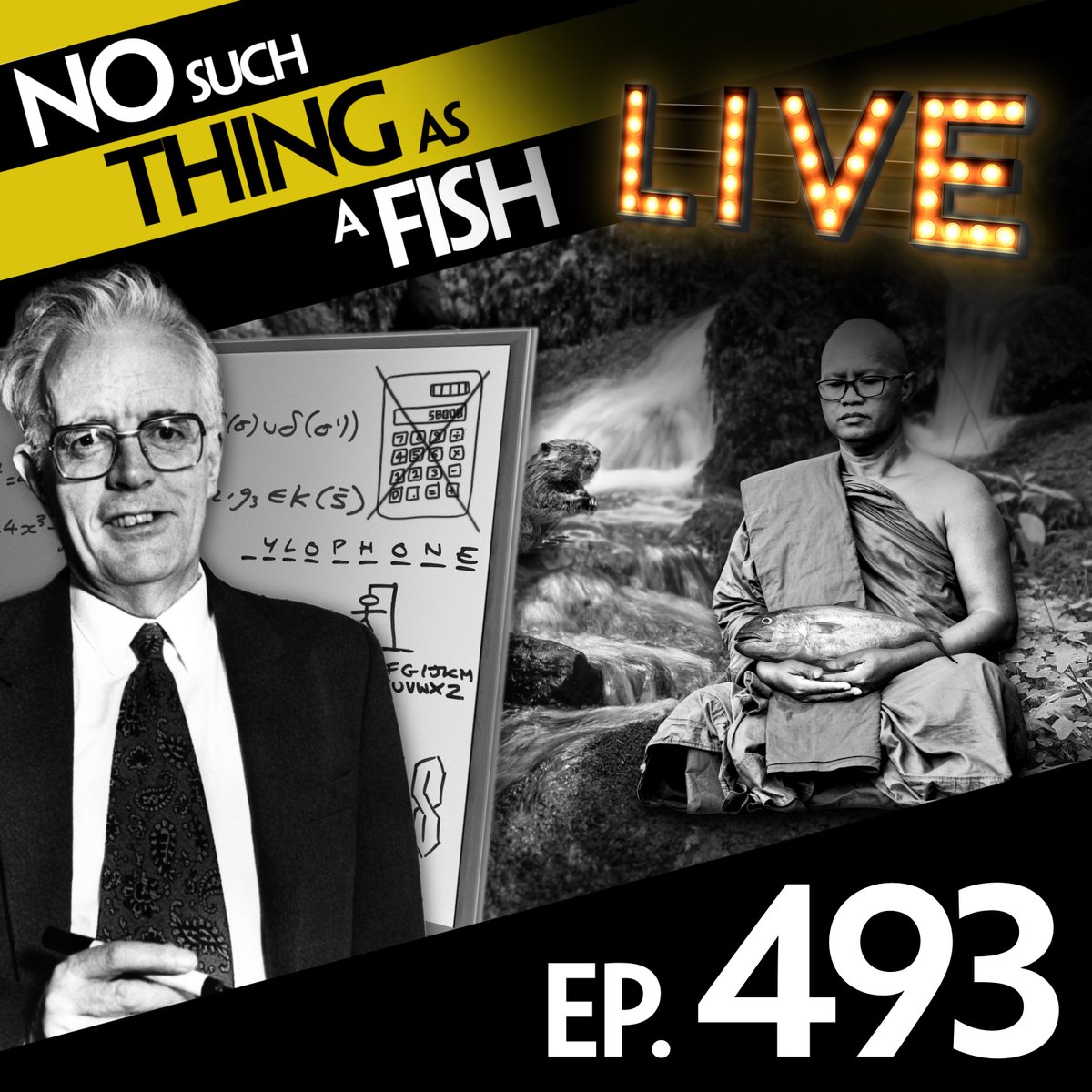 No Such Thing As A Fish tweet media