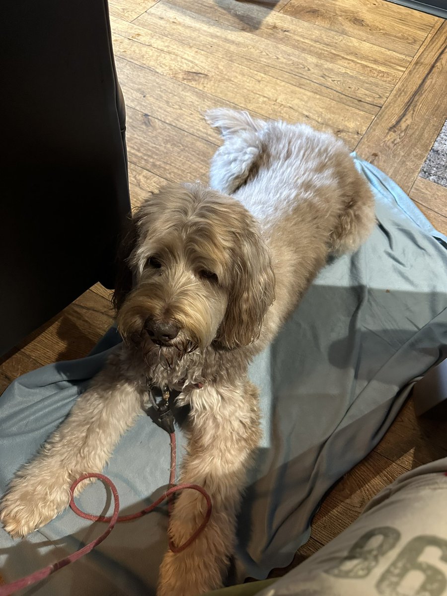 Darren (He/Him) tweet media