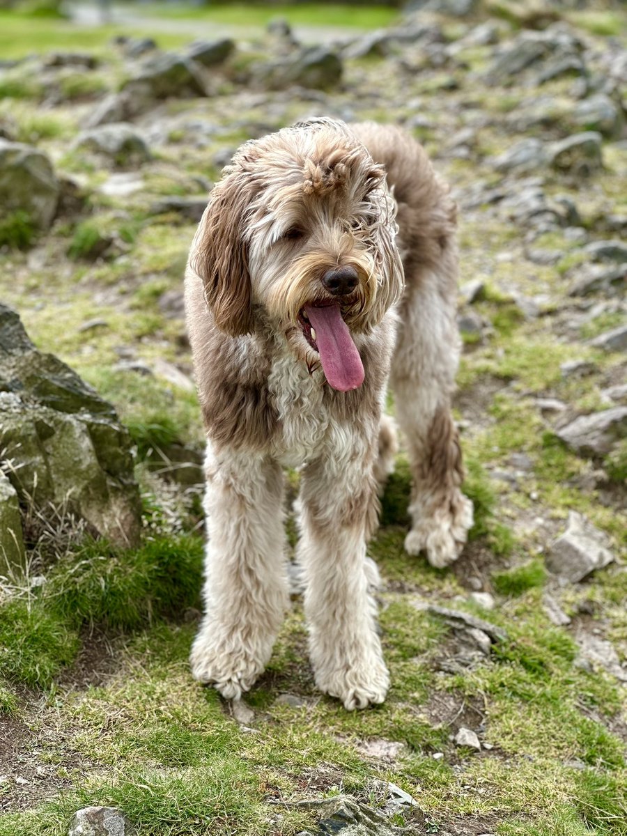 Darren (He/Him) tweet media