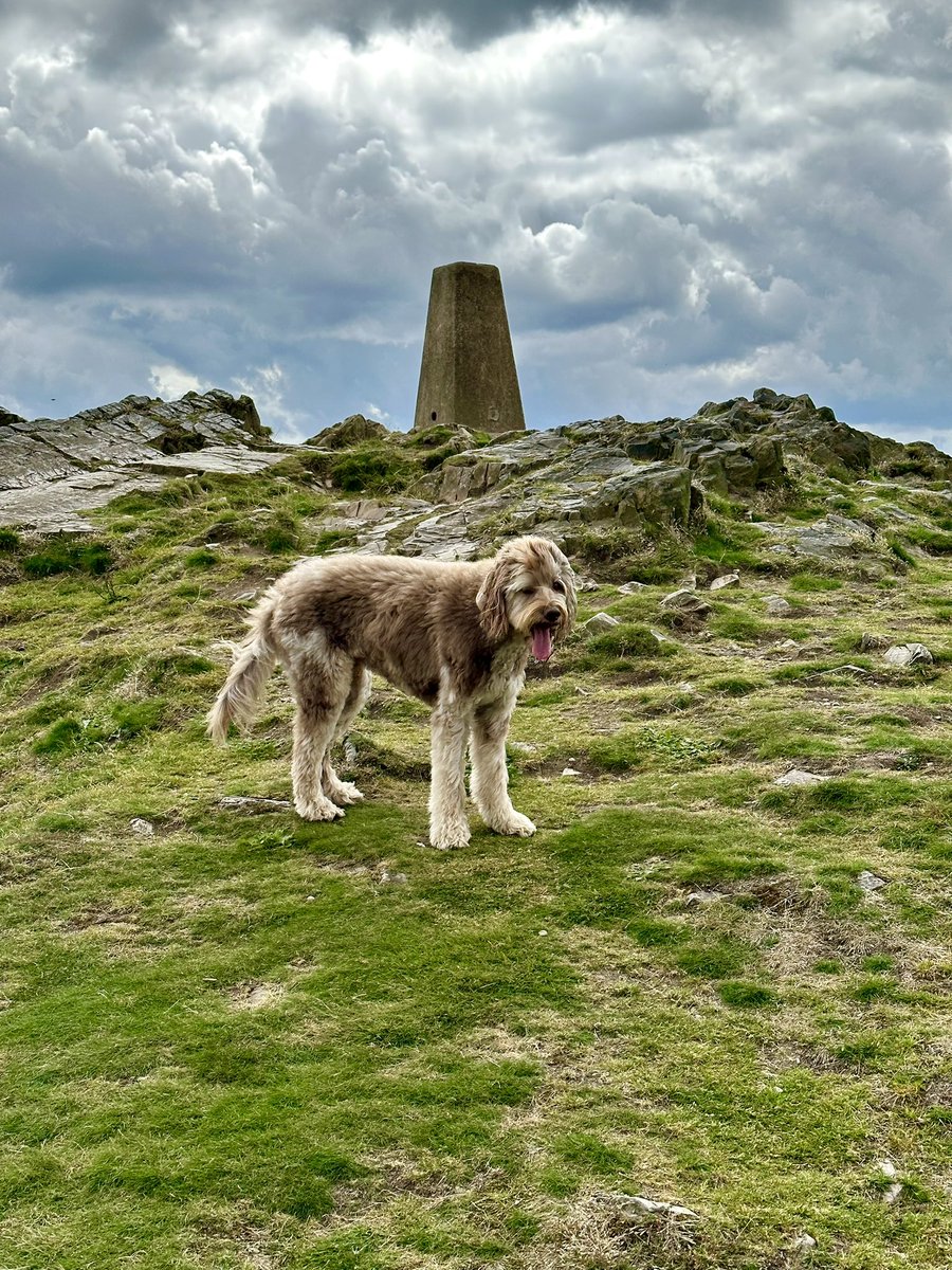 Darren (He/Him) tweet media