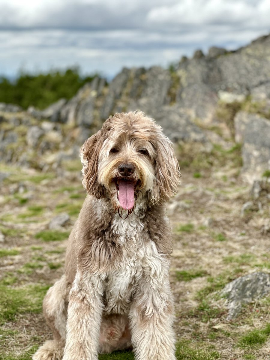 Darren (He/Him) tweet media