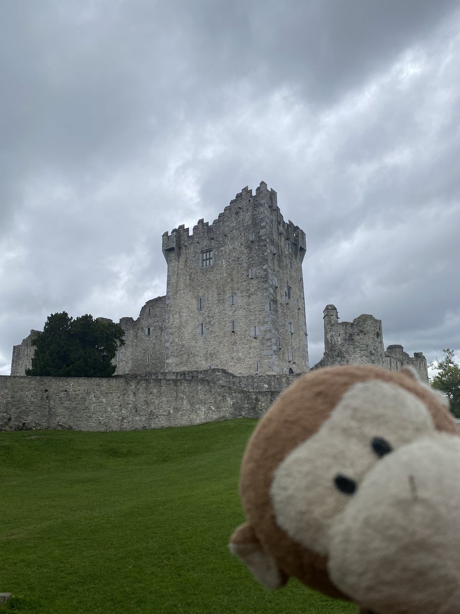 GpSmnky's tweet photo. Today was #Killarney National park, with #TorcWaterfall Then #RossCastle with a kayaking adventure…. I was stuck in the water proof bag! https://t.co/z3zMIGaOJp