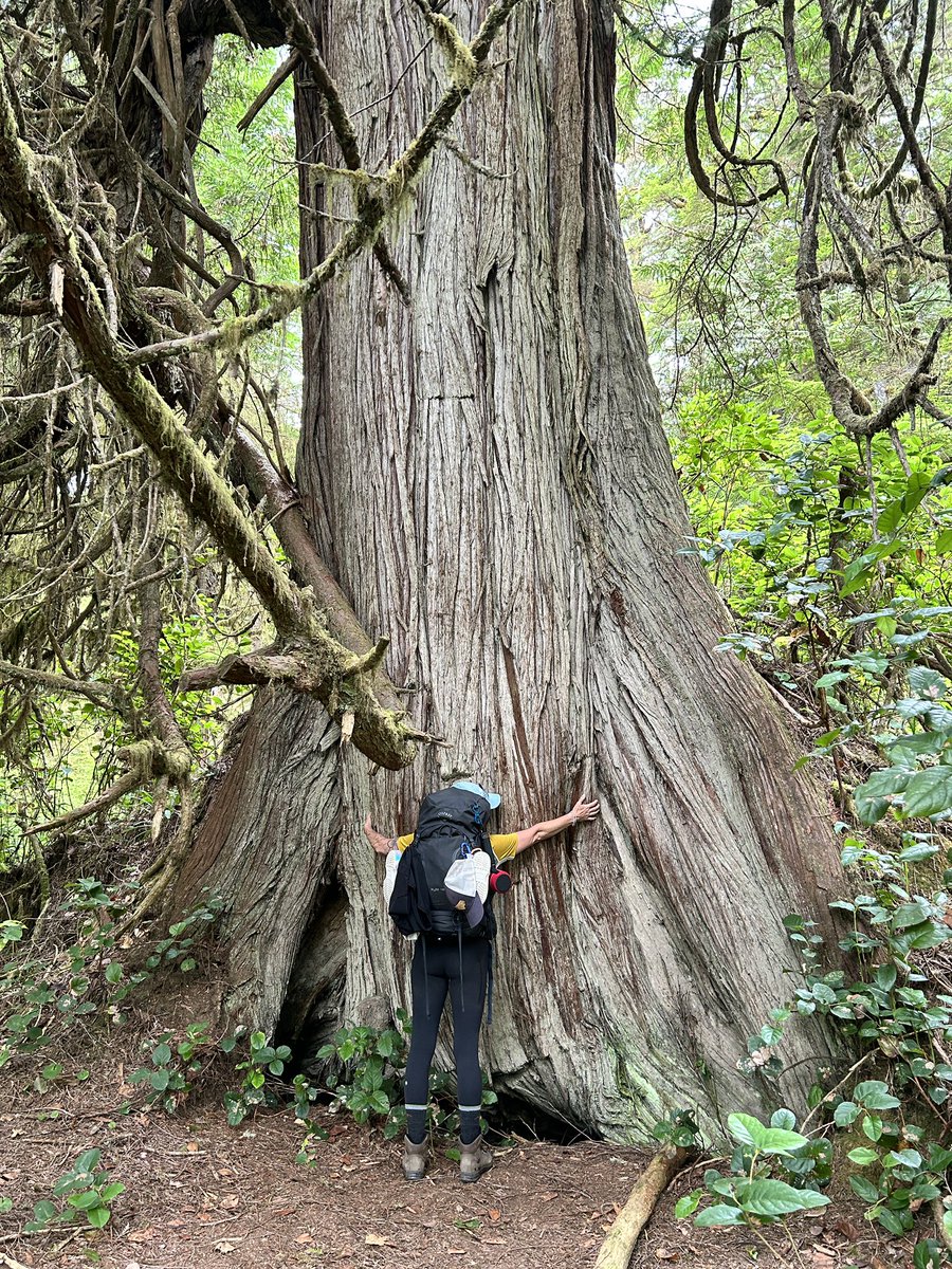 BrooksBrooksel's tweet photo. Bucket list hike done, we did it !!!! West Coast Trail you were amazing 🌲🥾🏕️ https://t.co/NXB8LpV1Rt