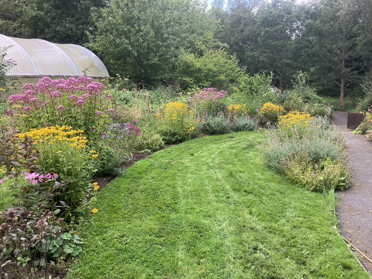 InfocusWestHill's tweet photo. I’ve just returned to West Hill from a weeks annual leave &amp; can’t believe how much everything has grown! Weeds &amp; grass aside the flowers are beautiful &amp; are covered in insects https://t.co/gXEYzKJtLS