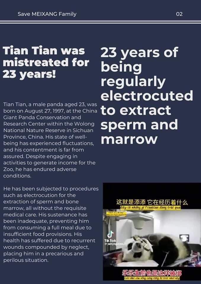ggihan217's tweet photo. ⚠️SAVE MEIXANG FAMILY⚠️ PLEASE🙏🏻                   #ReportSmithsonianNationalZoologicalPark
#sos
#pleasehelp
#savemeixiangfamily
#savetiantianpanda
#savexiaoqijipanda
#prayforpanda
#meixangfamily https://t.co/7ZvZgdbxYW