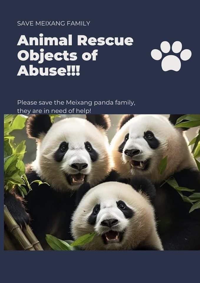 ggihan217's tweet photo. ⚠️SAVE MEIXANG FAMILY⚠️ PLEASE🙏🏻                   #ReportSmithsonianNationalZoologicalPark
#sos
#pleasehelp
#savemeixiangfamily
#savetiantianpanda
#savexiaoqijipanda
#prayforpanda
#meixangfamily https://t.co/7ZvZgdbxYW
