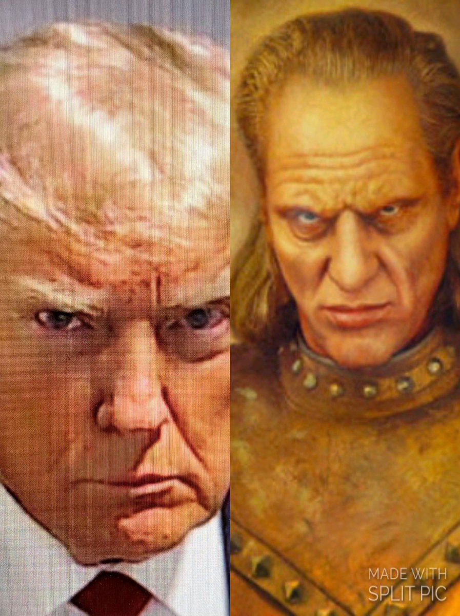 nettyinger's tweet image. Anyone else notice the resemblance? #TrumpMugShot