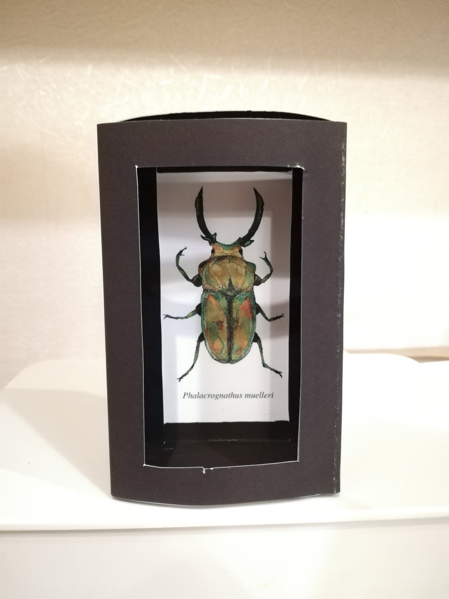 名刺が入るサイズのミニBOXを試作してます。

中に物が入っていない時はこんな感じで箱の底に絵が書いてあるので、立てて飾ることも出来ます。