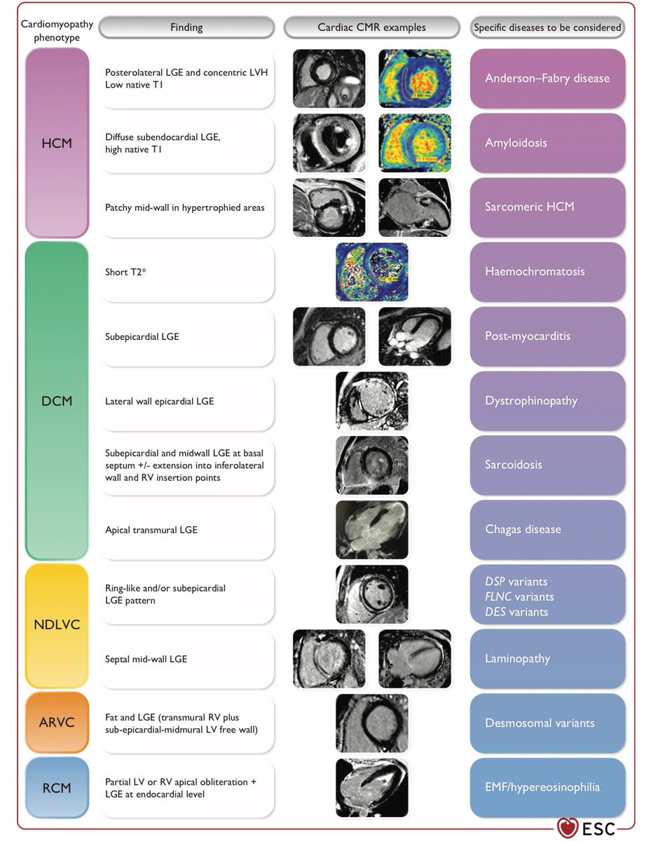 Emanuele Monda tweet media