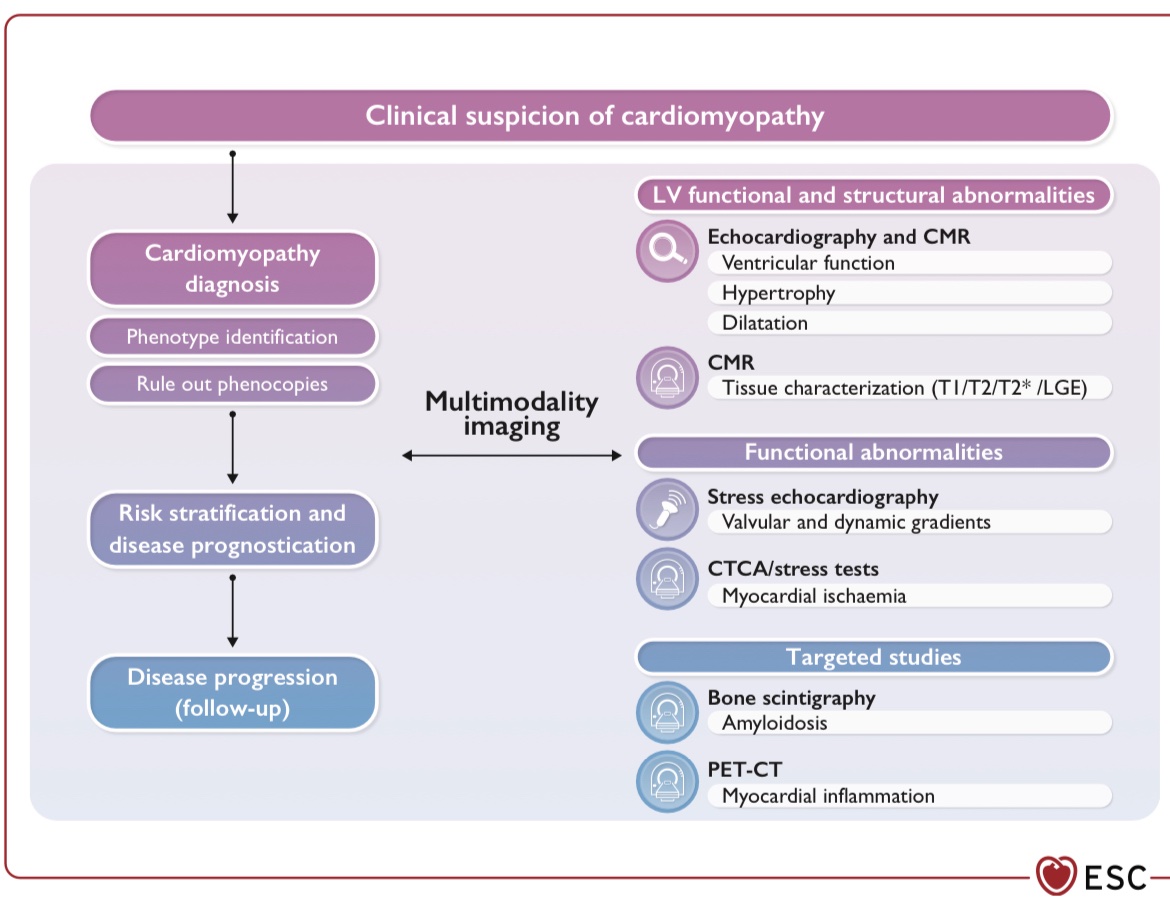 2023 ESC Guidelines for the management of cardiomyopathies! @escardio @ESC_Journals academic.oup.com/eurheartj/adva…