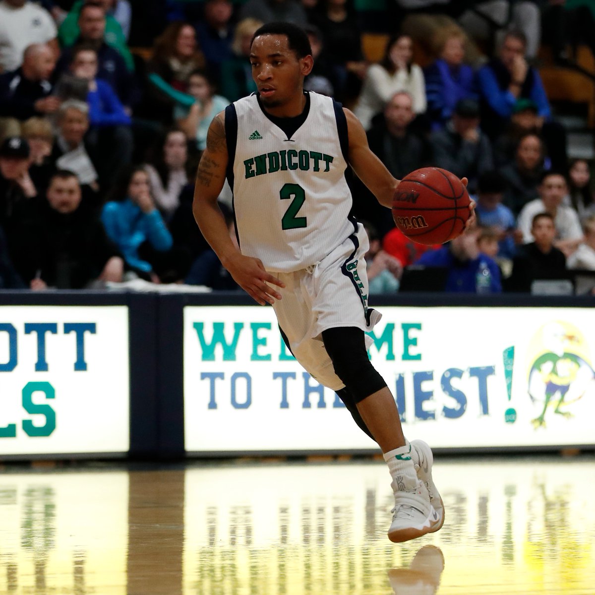 ECGulls's tweet image. NEWS: @EndicottCollege Athletics Announces 2023 Hall Of Fame Class 

STORY ➡️ ecgulls.com/x/quiwf