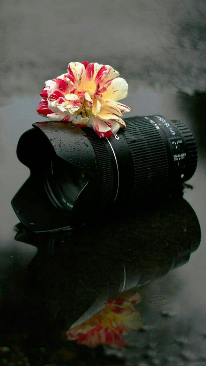 ﺳﺘﺠﺪ ﺩﺍﺋﻤﺎً ﺳﺒﺒﺎً ﻟﻠﺴﻌﺎﺩﺓ ﻓﻘﻂ ﺗﺄﻣّﻞ ﺣﻴﺎﺗﻚ ، ﻭﺍﻗﻨﻊ ﺑﻤﺎ ﺭُﺯﻗﺖ ﻭﺍﺷﻌﺮ ﺑﺎﻻﻣﺘﻨﺎﻥ ، ﻭﺗﻘﺒّﻞ ، ﻭﺃﻋﺮﻑ ﺃﻥ ﻣﻦ ﺣﻖ ﻧﻔﺴﻚ ﻋﻠﻴﻚ ﺃﻥ ﺗﺸﻌﺮﻫﺎ ﺑﺎﻟﺮﺿﺎﺀ ..