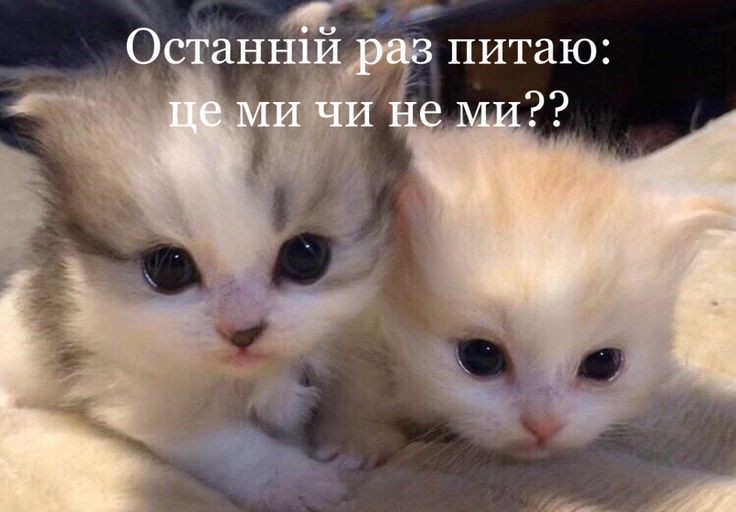 ⠀<a href="/LiWeepiiee/">weepiiee</a> надсилає любов та міцні обійми кожній стей. пам'ятайте, що кожна з вас особлива, і навіть, коли здається, що весь світ проти вас - згадайте, що десь у Південній Кореї є ті, хто завжди на вашому боці, а ще ближче - тисячі стей