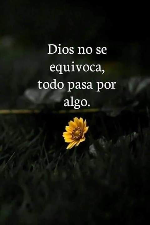 jordaninavarro's tweet photo. ✨️Amén✨️ https://t.co/ctGrtUzk4G