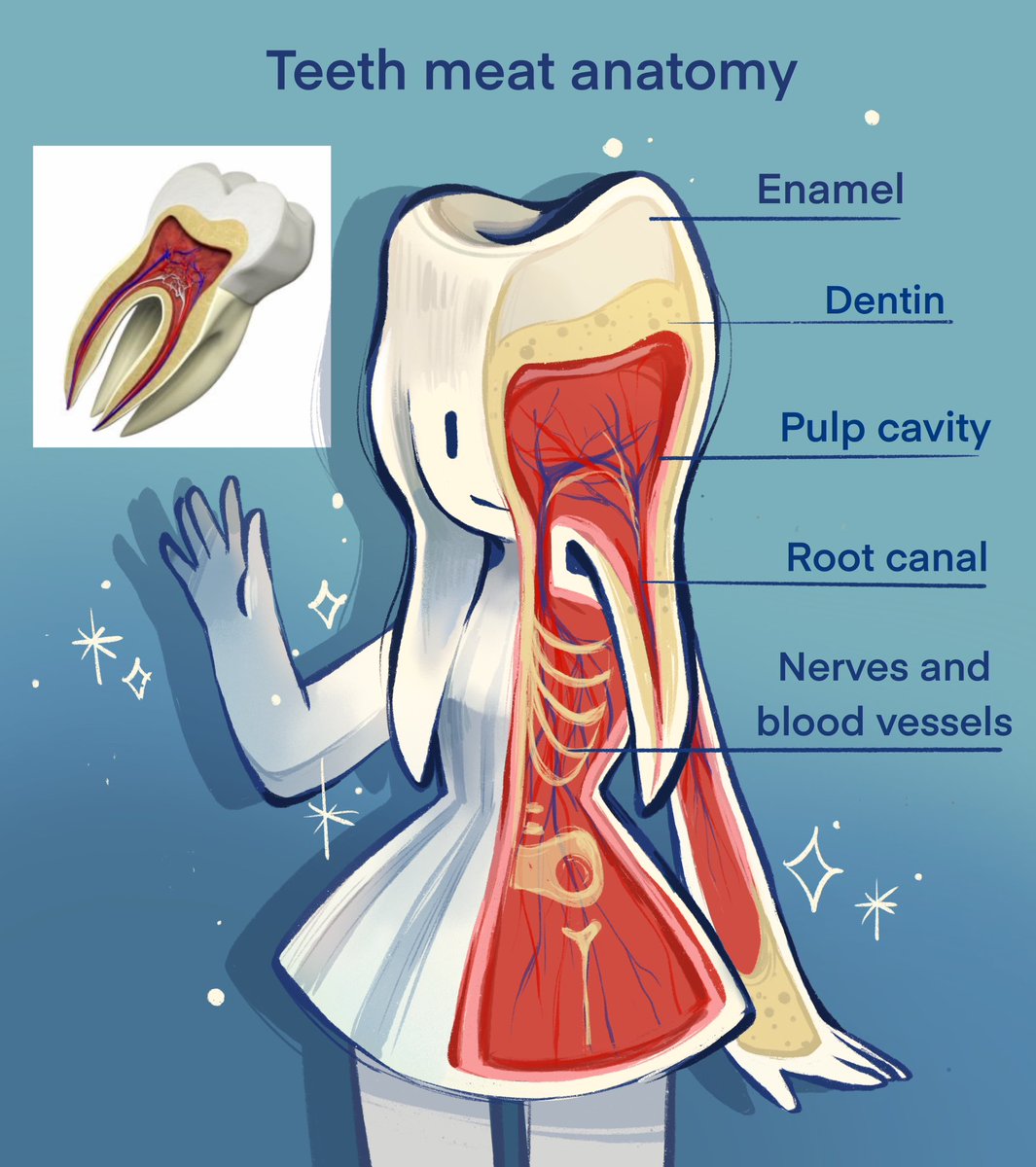 I had to draw the teeth meat I’m SORRY