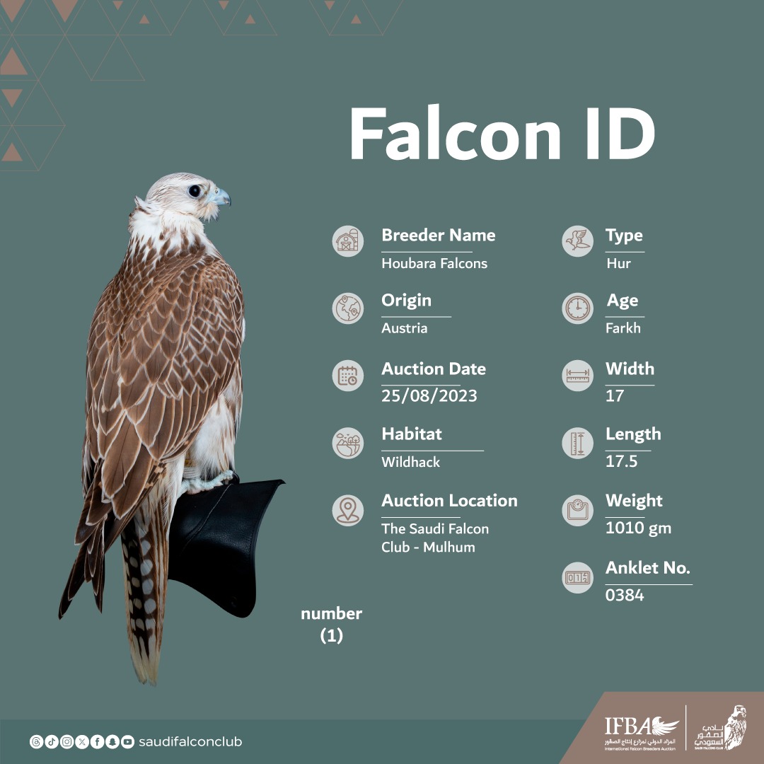 يدخل منصة ⁧#المزاد_الدولي_لمزارع_إنتاج_الصقور⁩ 2023 لليوم العاشر والأخير
الصقر (1) "حر" من مزرعة حبارى فالكون، بلد المنشأ النمسا 🇦🇹
⁧#نادي_الصقور_السعودي⁩ 𓅃 

For our 10th And Final day of the Auction in ⁦#IFBA⁩ , we have falcon NO. 1 “Hur“ from Habara Falcons farm origin