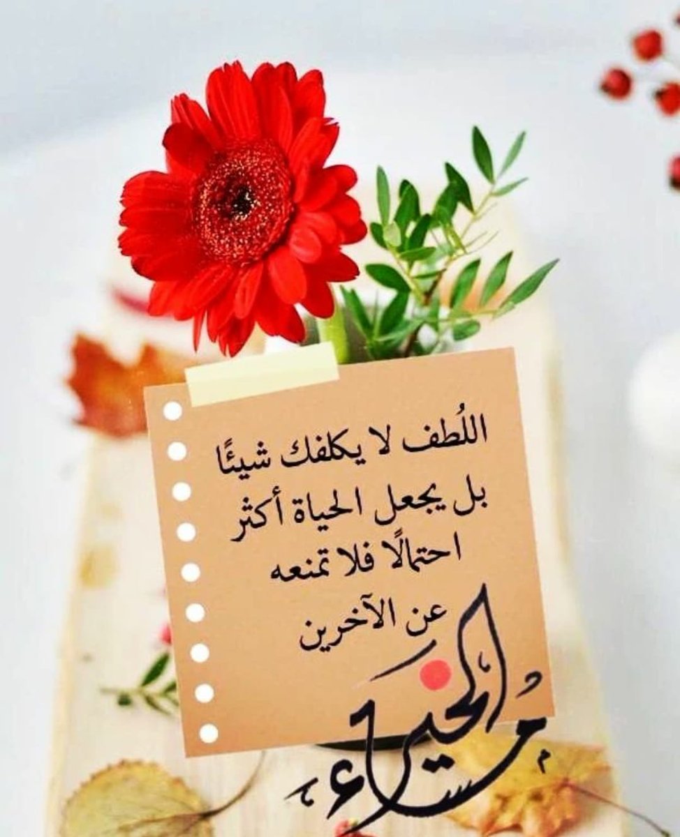 SAlzughby's tweet photo. مساكم لطيف مع نسائم جميله ،🤗💚🌷 https://t.co/rko8cXUYJU