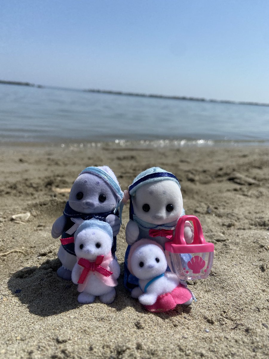 silvia_ryu's tweet photo. Seal family at the beach! 
#sylvanianfamily #epoch #sylvanianfamilies #seal #beachlife https://t.co/ViT0ACh7tC