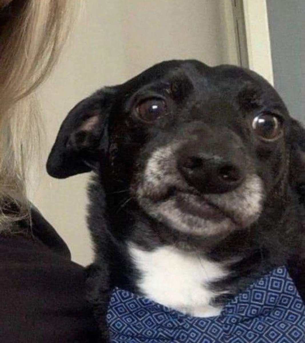 Últimamente me lo paso con esta cara: