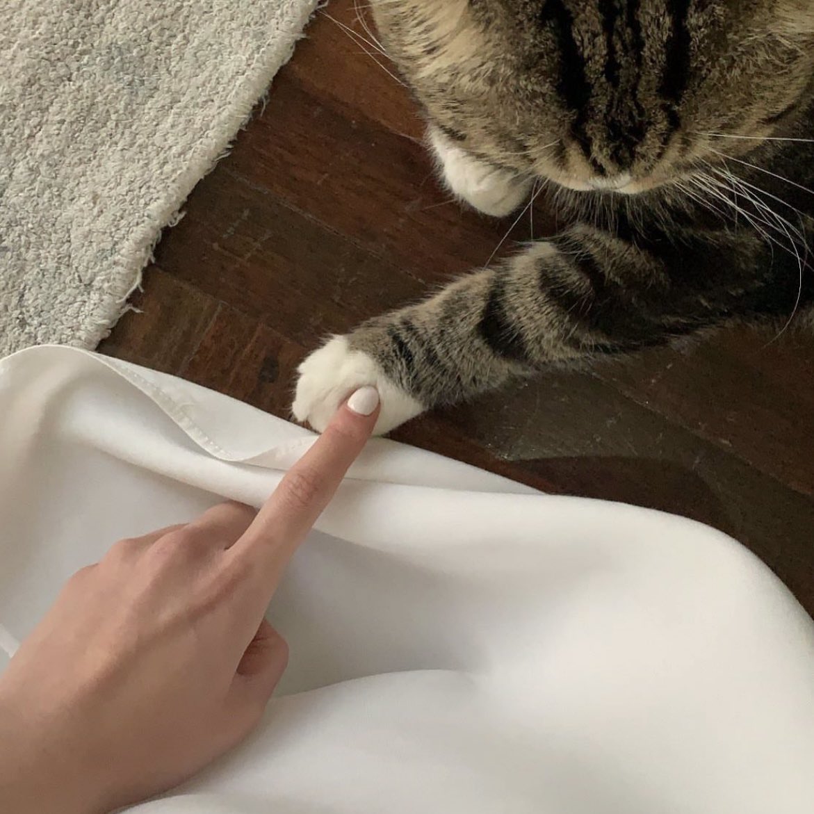 ที่ชาร์จแบตที่ดีที่สุดของขัพเจ้าก็คื้อออ 🤏🏻