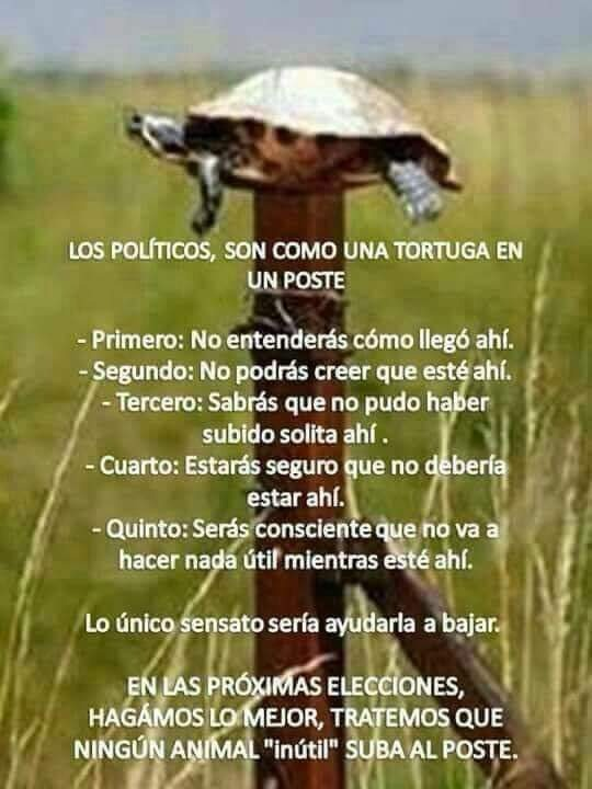 <a href="/ipoduje/">Ivan Poduje</a> <a href="/andrea_arlequin/">Arlequín 🇪🇸🇨🇱🇮🇱</a>