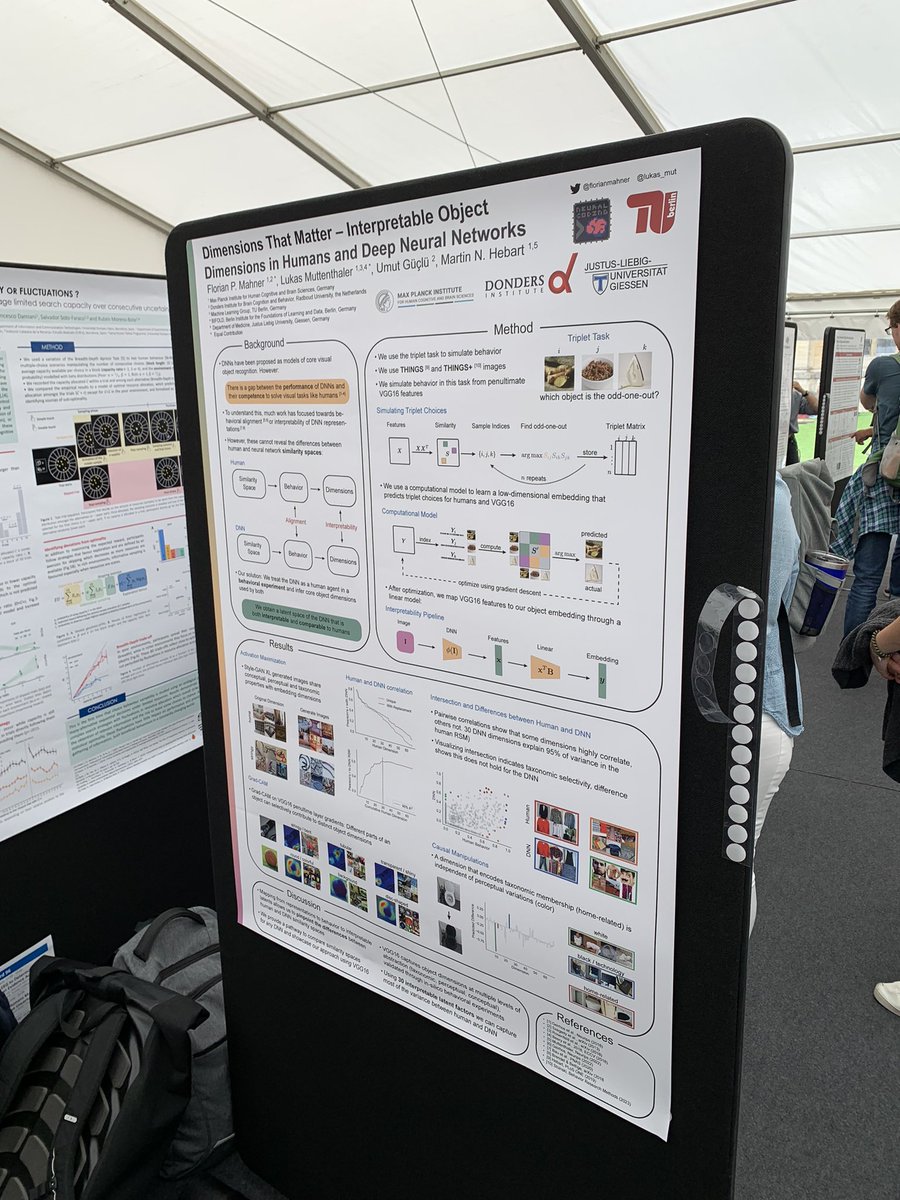 Come to poster 2B.95 <a href="/CogCompNeuro/">CogCompNeuro</a> for hearing about our work on interpretable object dimension in deep neural nets! <a href="/florianmahner/">Florian Mahner</a> <a href="/martin_hebart/">Martin Hebart</a>