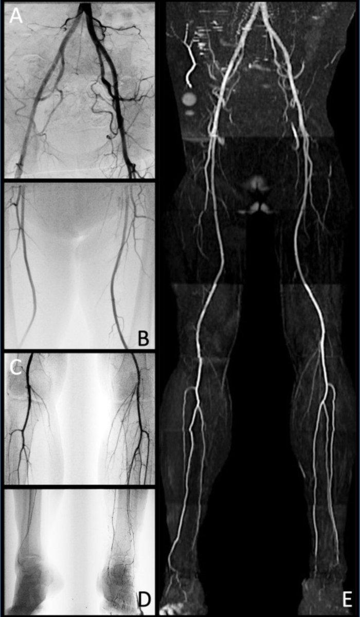 Trisha L. Roy MD PhD FACS tweet media