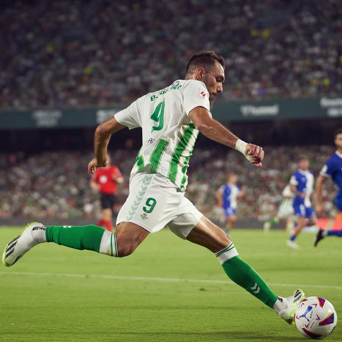 Fefo LKK 🔻🇵🇸 tweet media