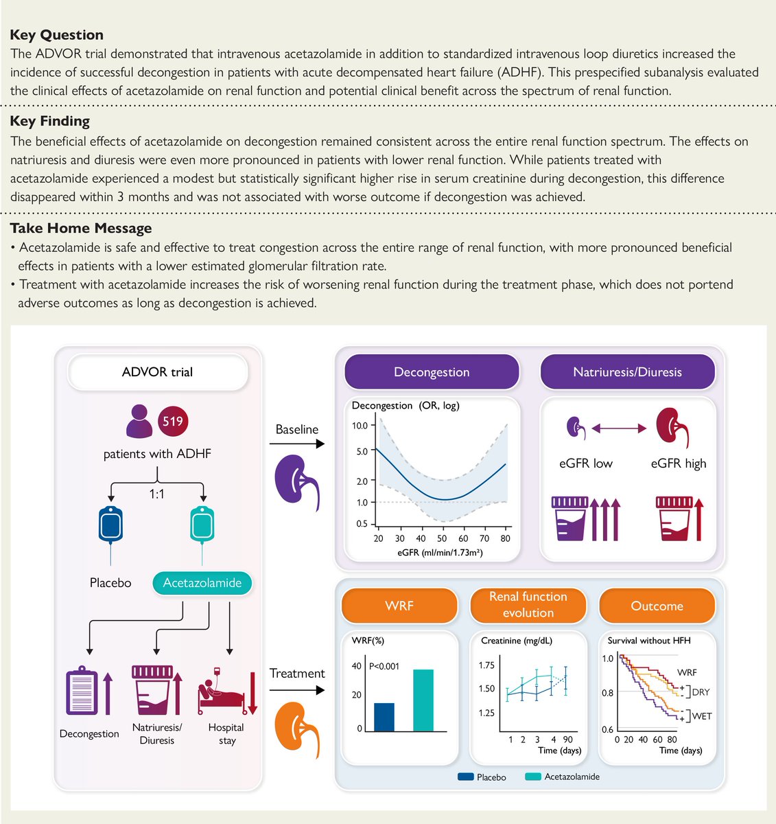 ESC_Journals's tweet photo. #RenalFunction and #decongestion with acetazolamide in Acute decompensated #HeartFailure: the ADVOR trial 👉

https://t.co/iwwJihDnEq

#ESCCongress #EHJ @ehj_ed @rladeiraslopes https://t.co/SbgyMsGuaB