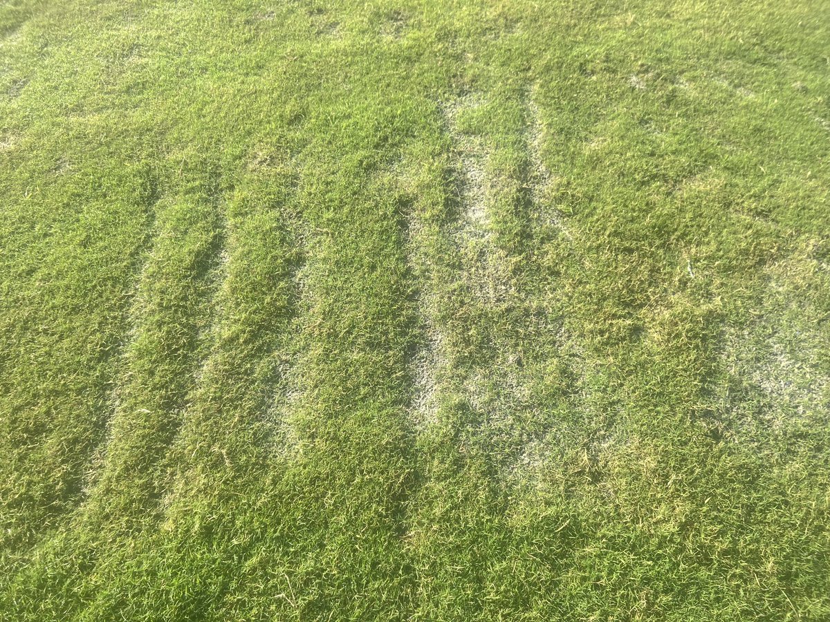 Legacyagronomy's tweet photo. This is the members' area for our practice tee at the Legacy.
There is nothing more rewarding than knowing that what you demonstrate and endorse is actually effective. @GCSAA @FGCSA @GOLF_com
#supersecrets https://t.co/dYX06zR86N