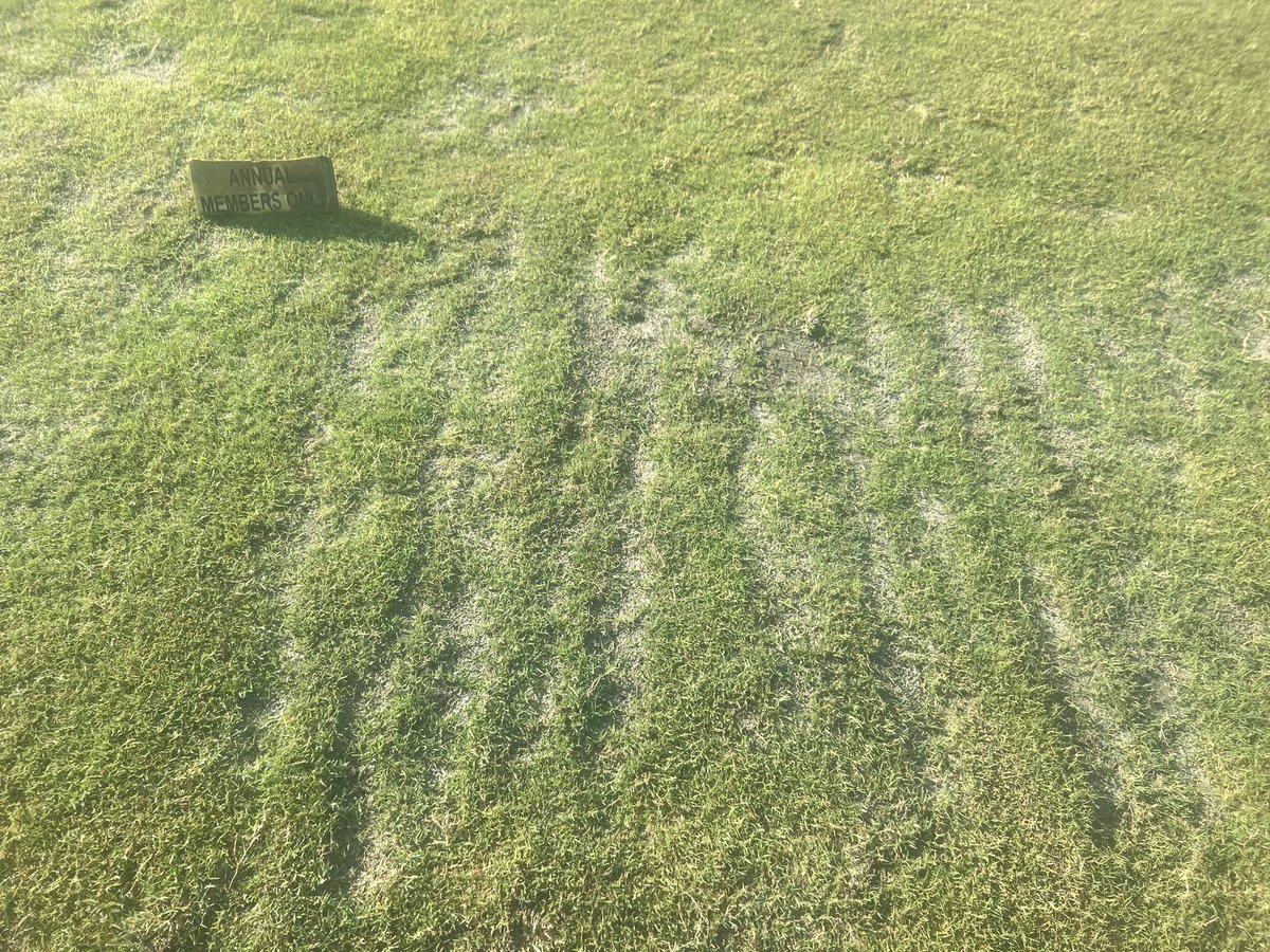 Legacyagronomy's tweet photo. This is the members' area for our practice tee at the Legacy.
There is nothing more rewarding than knowing that what you demonstrate and endorse is actually effective. @GCSAA @FGCSA @GOLF_com
#supersecrets https://t.co/dYX06zR86N