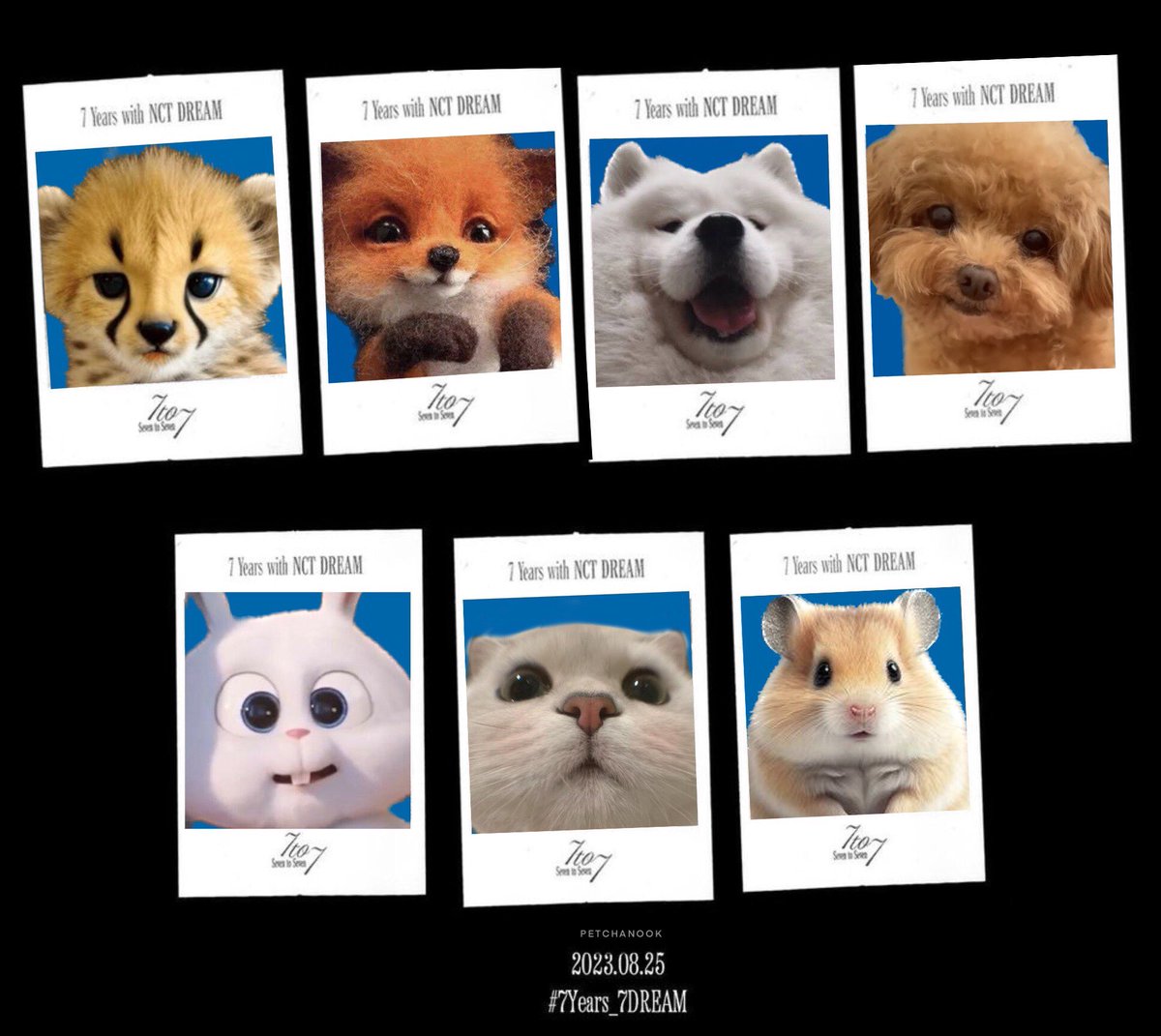 🫳🏻🫳🏻🫳🏻🫳🏻🫳🏻🫳🏻🫳🏻
🐯🦊🐶🐻🐰🐱🐹