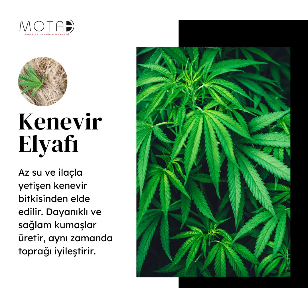 MotadTr's tweet photo. Doğal elyaflar, sürdürülebilir moda yolculuğunda sentetiklerin yerini alıyor. Hem modaya hem de gezegene iyi gelecek seçimler moda tasarımcılarının daha fazla tercihi olacak gibi görünüyor. 🌎🌟

#DoğalElyaf #SürdürülebilirModa #YeşilTercihler
#moda #tekstil #hazırgiyim https://t.co/gYUWC7AIcO