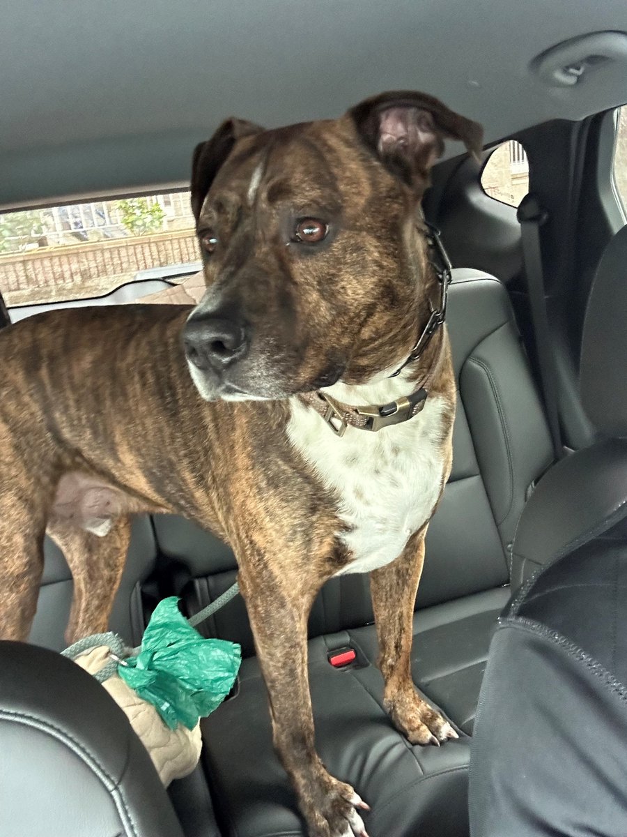 "This is a picture of me watching a #robotaxi drive full speed into a school bus on the same day a #VC publishes an op-ed in <a href="/WSJ/">The Wall Street Journal</a> stating AI is better at driving than humans and anyone who thinks otherwise is a dumb luddite."
- Riker, San Jose