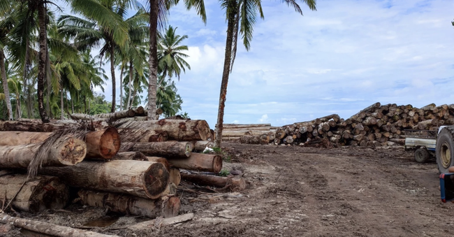 marillion13's tweet photo. Petition
Indonesien: NEIN zur großflächigen Abholzung der Mentawai-Inseln! Wenn wir weiterhin den #Regenwald so abholzen wie bisher, dann gute Nacht, #PlanetErde.
#ThereIsNoPlanetB.
Bitte unterzeichnen/teilen:
https://t.co/QpuJ5FBNed
@RettetRegenwald https://t.co/UmkBmtXRro