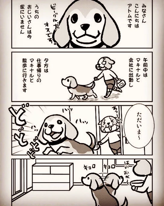 帰ることのない飼い主を待つ(1/2) 