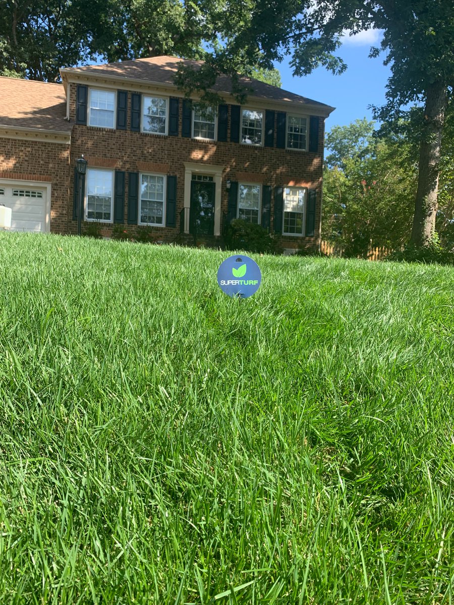 superturfllc's tweet photo. Taking care of those pesky weeds now will result in a beautiful and healthy lawn come fall. #RVA https://t.co/jbPnejIbW8