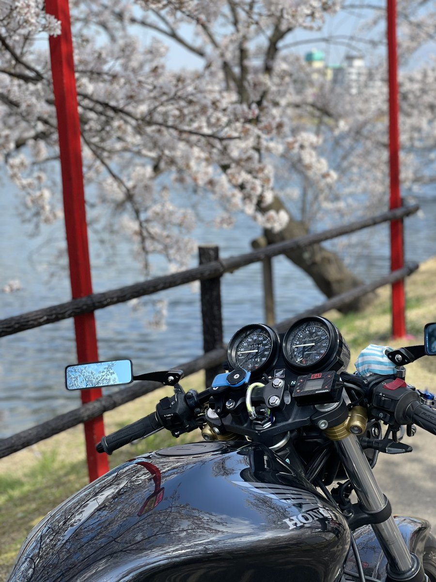 Chickenrider29's tweet photo. 今日誕生日を迎えたのでプロフィール更新しまーす
名前：ぺー
性別：男
年齢：23
身長：168
住み：福島県
車種：ホーネット250
好き：バイク、アニメ、ゲーム、古着巡り
一言：バイクに関しての知識はほぼゼロなので御手柔らかにお願いします！
お友達も少ないでぜひ仲良くしてください！ https://t.co/sdDaDFssGG