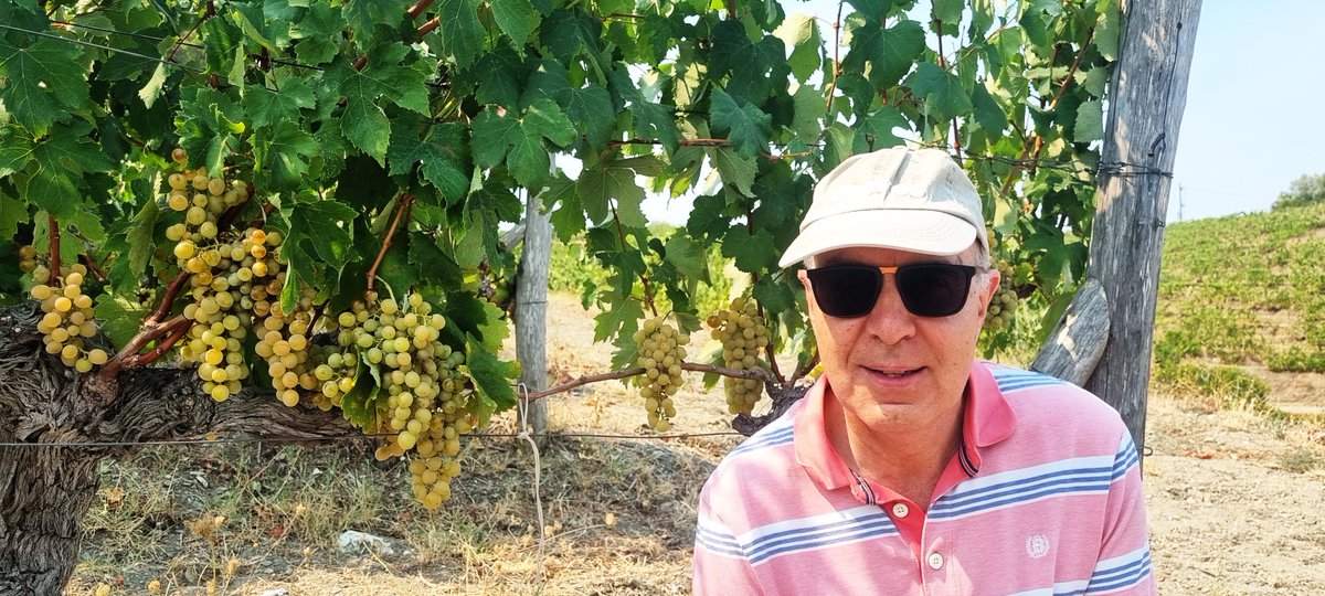 Domaine Porto Carras new era (@dportocarras) on Twitter photo Nice to have Christos Ioannou <a href="/christoswineman/">Christos Ioannou</a>
a full member of the Association of Wine Educators <a href="/AssocWineEd/">Wine Educators</a> from UK
in our historic vineyard and winery
studing on PDO Slopes of Meliton and PGI Sithonia
and tasting our wines!!!! Nice to have Christos Ioannou <a href="/christoswineman/">Christos Ioannou</a>
a full member of the Association of Wine Educators <a href="/AssocWineEd/">Wine Educators</a> from UK
in our historic vineyard and winery
studing on PDO Slopes of Meliton and PGI Sithonia
and tasting our wines!!!!