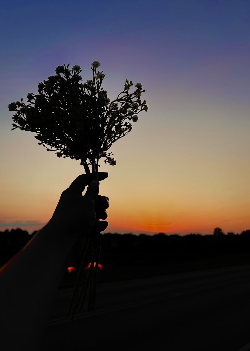 Ms_Giulia_Art's tweet photo. Photo 1 students are working on their sunset silhouette projects! Awesome job Callie, Will, Elaina & Juliet #firebirdart #photoclass #sunsetphotography https://t.co/PvLXzKLKWX