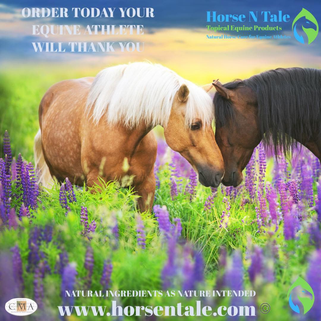 Horse n Tale’s complete product range gets your equine athletes looking and feeling their best. 

#horsentale #topicalequineproducts #naturalhorsecare #botanicalproducts 
#equinebotanicalproducts #equine #horse #horseproduct #horseproducts #naturalingredients #horsesupplies