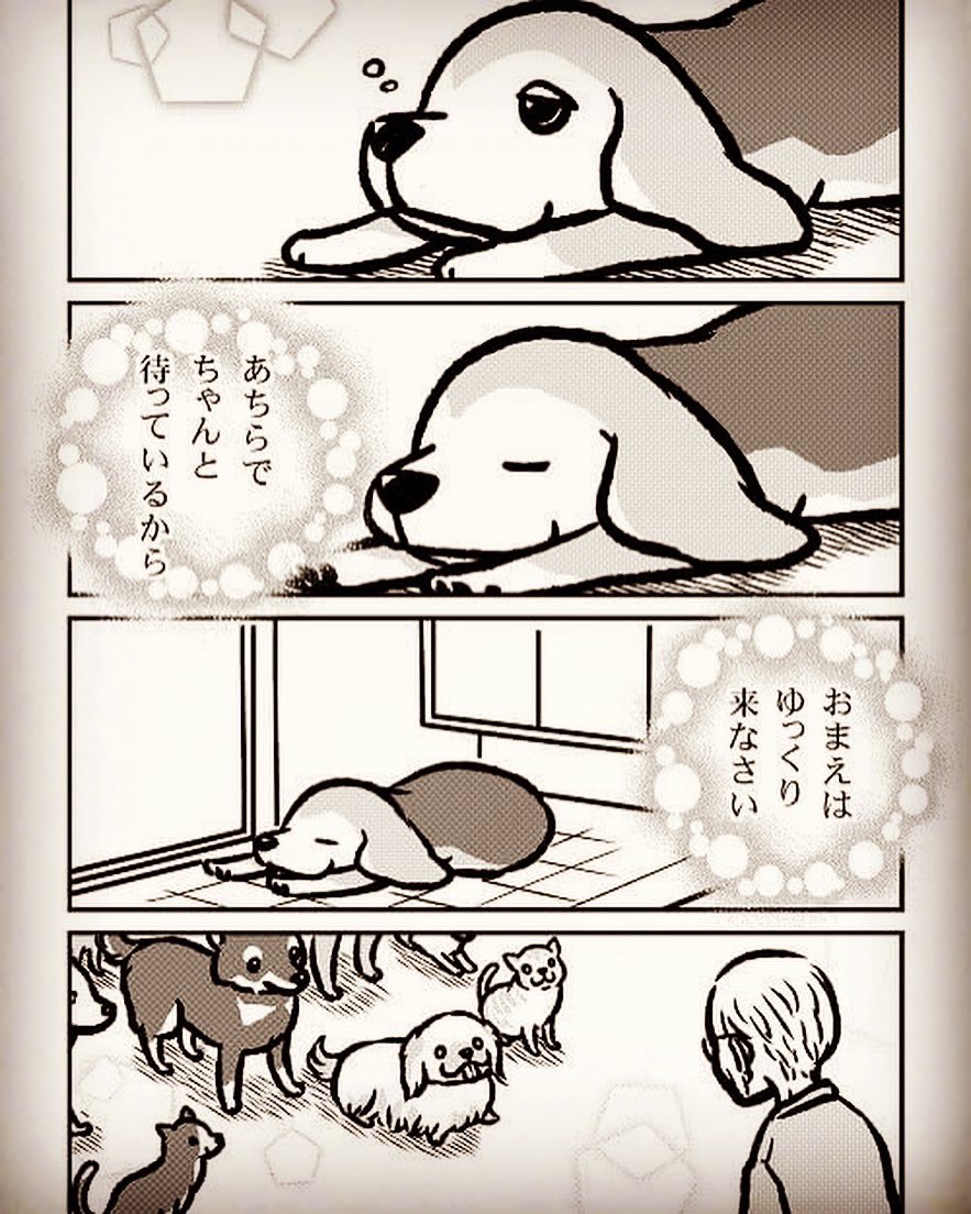 帰ることのない飼い主を待つ(2/2)

10年前に描いたものです
この頃は真希ナルセ(マキナル)は1人でこのプロレスのマスクマンの設定でした

祖父が亡くなってもう10年も経ってしまいました

#ビーグルのアトム
#真希ナルセ 