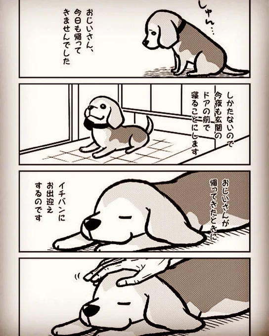 帰ることのない飼い主を待つ(2/2)

10年前に描いたものです
この頃は真希ナルセ(マキナル)は1人でこのプロレスのマスクマンの設定でした

祖父が亡くなってもう10年も経ってしまいました

#ビーグルのアトム
#真希ナルセ 