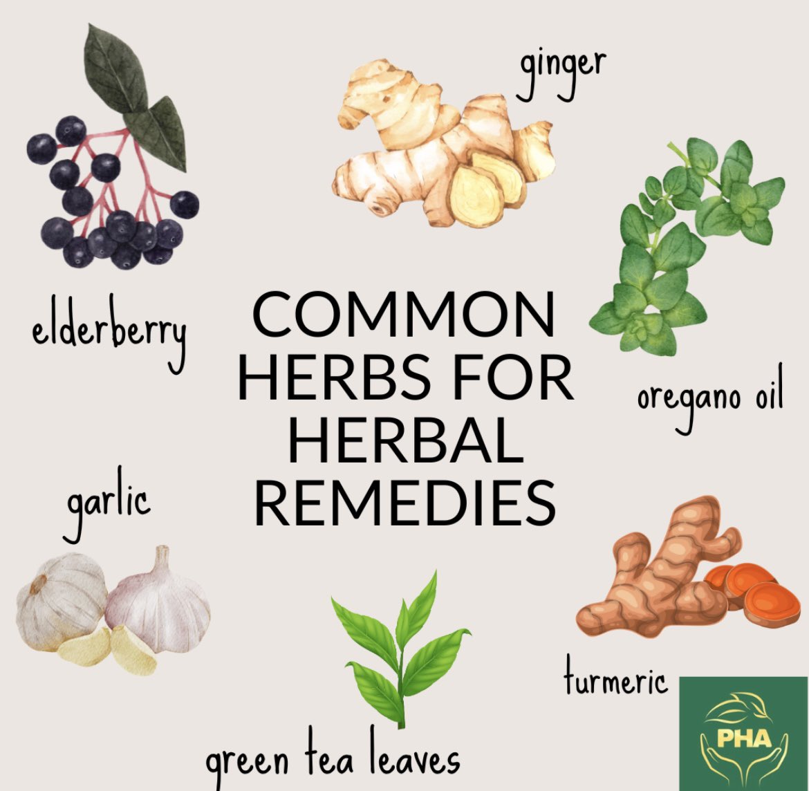 TPHA_UK's tweet photo. 🌿💪 A strong immune system is your body's natural shield against illnesses and infections. Let's explore the incredible power of herbal remedies, time-tested by ancient traditions, to fortify our immunity and enhance overall well-being! 🍃💚

🌿 Elderberry: Rich in antioxidants and vitamins, elderberry has been used for centuries to support the immune system and ease flu symptoms.
🌿 Turmeric: With its active compound curcumin, turmeric boasts potent anti-inflammatory and antioxidant properties, which can bolster your immune response.
🌿 Ginger: This spicy root has powerful antimicrobial and anti-inflammatory qualities, helping to strengthen your body's defence against infections.
🌿 Garlic: A natural immune booster, garlic contains allicin, a compound with antimicrobial properties that support overall health.
🌿 Licorice Root: Renowned for its soothing properties, licorice root can help with respiratory health and ease inflammation.
🌿 Oregano Oil: Packed with antioxidants, oregano oil is believed to have antiviral and antibacterial effects, helping protect your immune system.
🌿 Green Tea: Rich in catechins, green tea provides immune-boosting benefits and supports overall wellness.

Remember, while herbal remedies can be beneficial, it's essential to use them responsibly and consult with a healthcare professional, especially if you're on medication or have underlying health conditions. Embrace a holistic approach to robust health by incorporating these herbal remedies, empowering your immune system to thrive naturally! Share your tips down below! 🌿💚