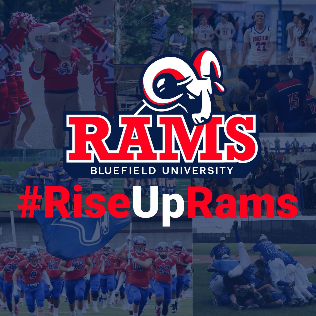 Bluefield University Softball tweet media