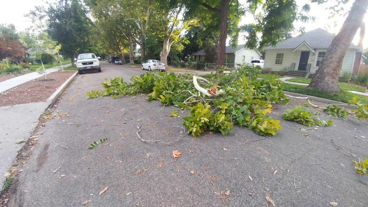 Colleen Fellows 🇺🇸 🇺🇦 tweet media