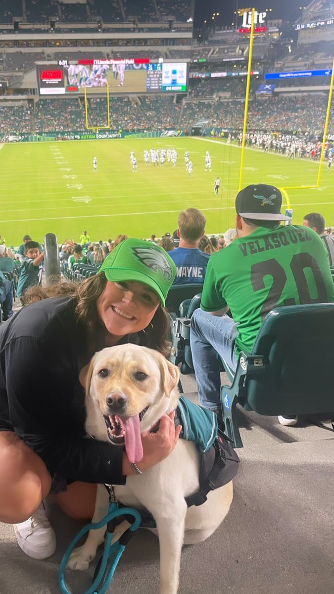 AlexisDobron's tweet photo. Can't tell me this dog doesn't have the life!!! 🥹😍 https://t.co/X41tMS2nN2