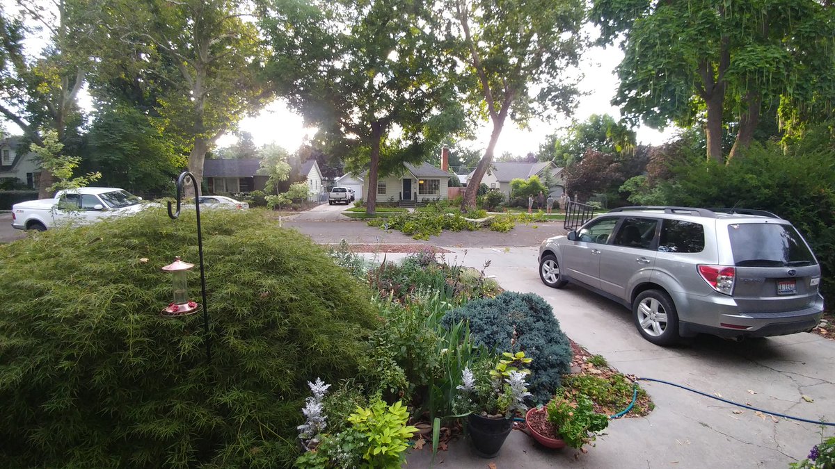 Colleen Fellows 🇺🇸 🇺🇦 tweet media