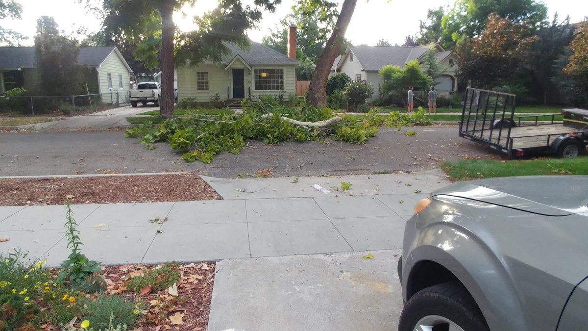 Colleen Fellows 🇺🇸 🇺🇦 tweet media